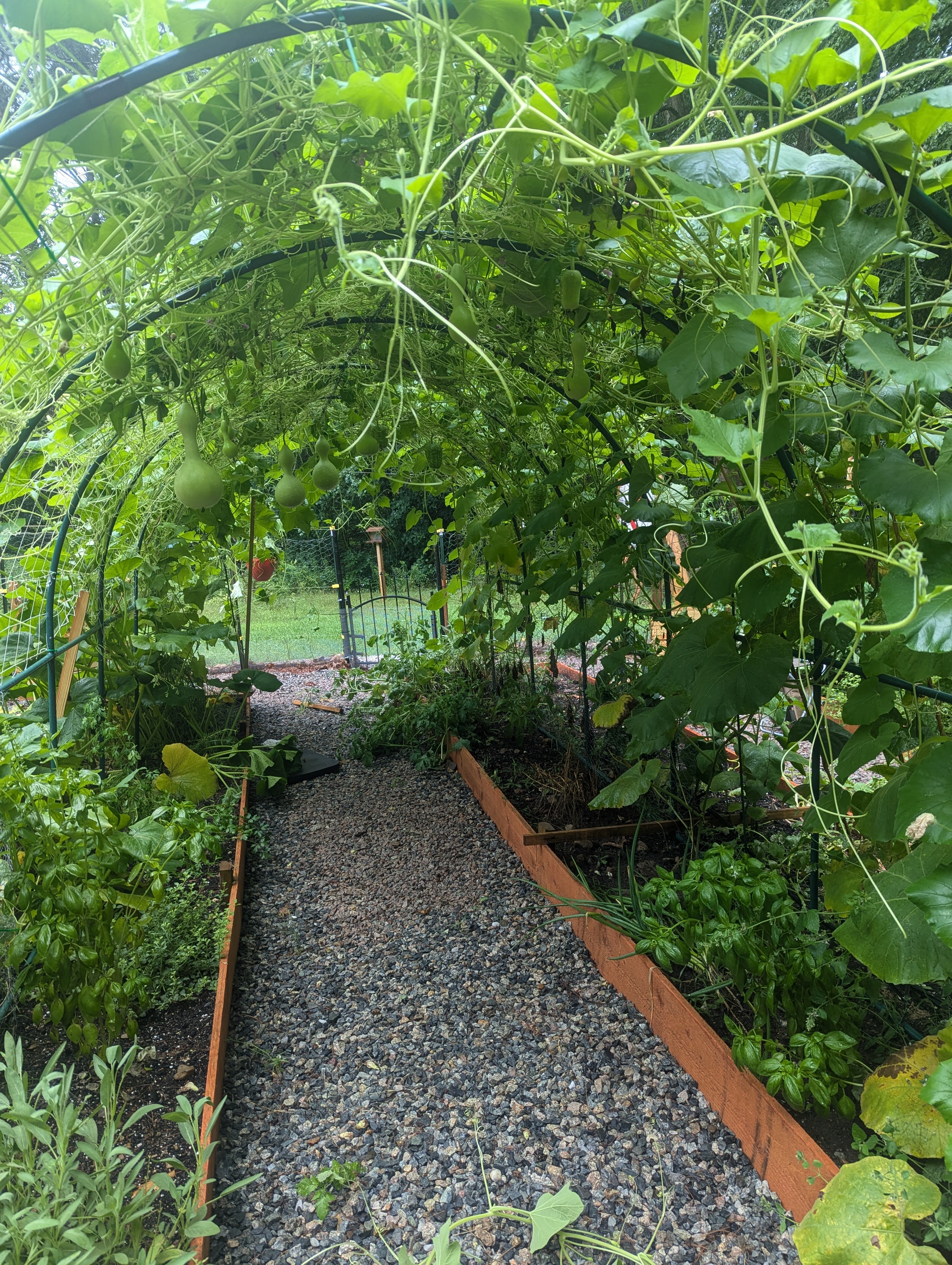 The New England Planting Calendar: What to Start When